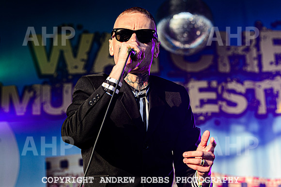 Death of Guitar Pop - Watchet Music Festival 2022-3278
