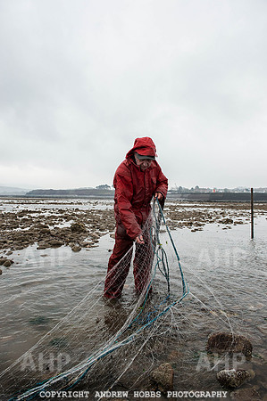 Stake-net Fishing Watchet 2014 016