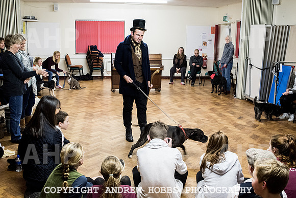 Oliver Dog Audition Minehead 2017-5431