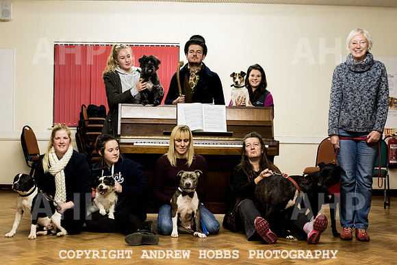 Oliver Dog Audition Minehead 2017-5409