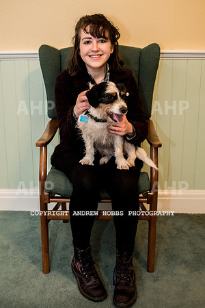 Oliver Dog Audition Minehead 2017-5301