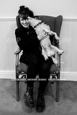Oliver Dog Audition Minehead 2017-5308