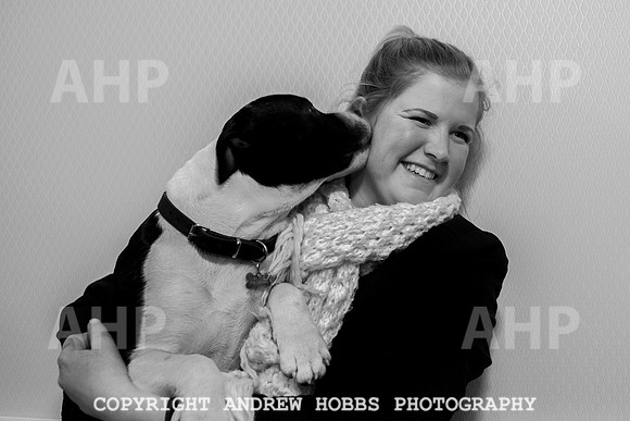 Oliver Dog Audition Minehead 2017-5375