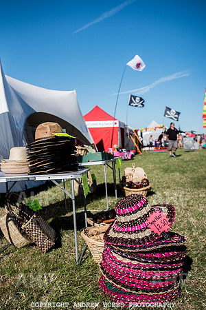 Watchet Festival 2016-1715