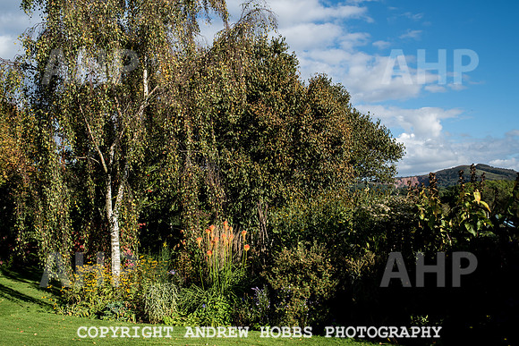 Vellacott Garden 2016-3549