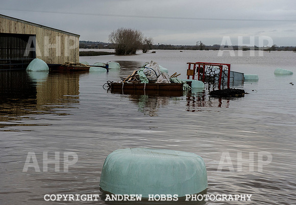 Family farm floods in Somerset, UK
