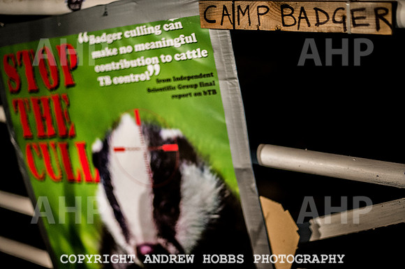 First Camp Badger_8931