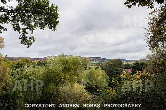 Sampford Brett Walk EM -  Nov 2016-3882