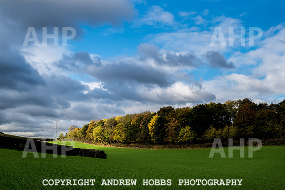 Sampford Brett Walk EM -  Nov 2016-3887