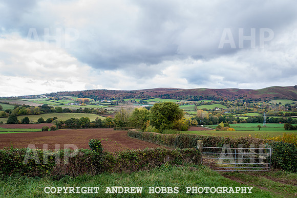 Sampford Brett Walk EM -  Nov 2016-3894