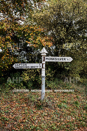 Sampford Brett Walk EM -  Nov 2016-3916