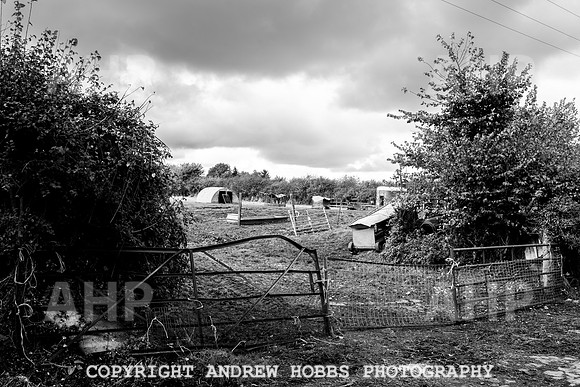 Sampford Brett Walk EM -  Nov 2016-3948