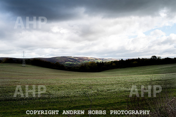 Sampford Brett Walk EM -  Nov 2016-3955