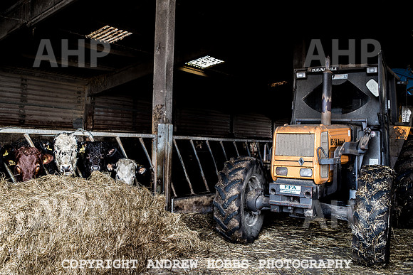 Blindwell Farm EM -  2017-6120