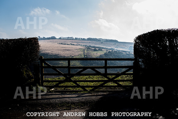 Blindwell Farm EM -  2017-6132