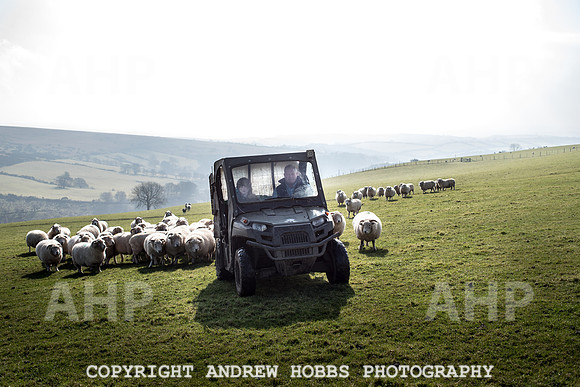 Blindwell Farm EM -  2017-6276