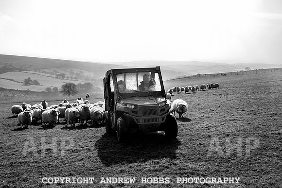 Blindwell Farm EM -  2017-6277