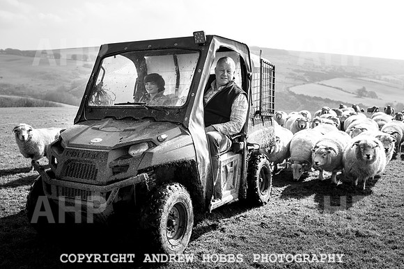 Blindwell Farm EM -  2017-6328