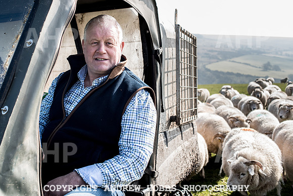 Blindwell Farm EM -  2017-6340
