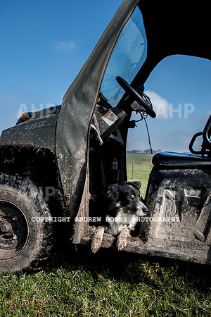 Blindwell Farm EM -  2017-6367