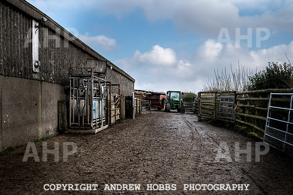 Blindwell Farm EM -  2017-6455