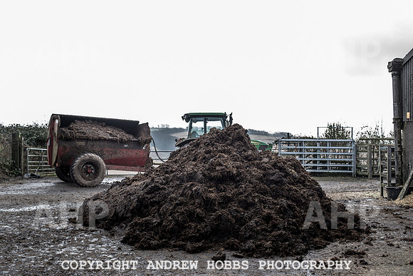 Blindwell Farm EM -  2017-6464