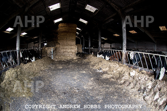 Blindwell Farm EM -  2017-6473