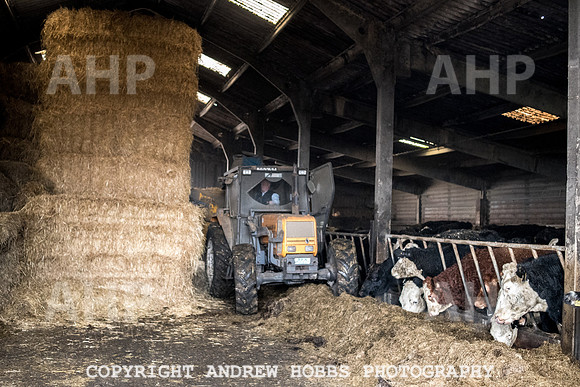 Blindwell Farm EM -  2017-6557