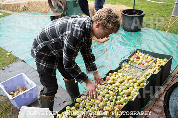 Porlock Apple Day 2016-3797