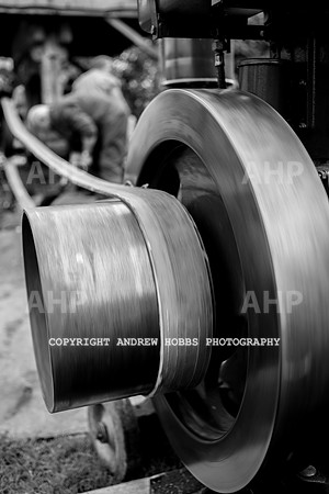 Porlock Apple Day 2016-3818