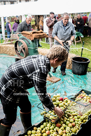 Porlock Apple Day 2016-3801