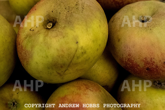 Carhampton Apple Day 2016-3712