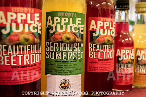 Carhampton Apple Day 2016-3713