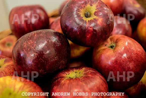 Carhampton Apple Day 2016-3719