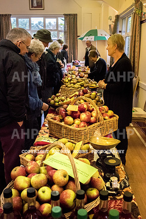 Carhampton Apple Day 2016-3724