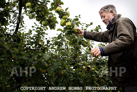 Carhampton Apple Day 2016-3752