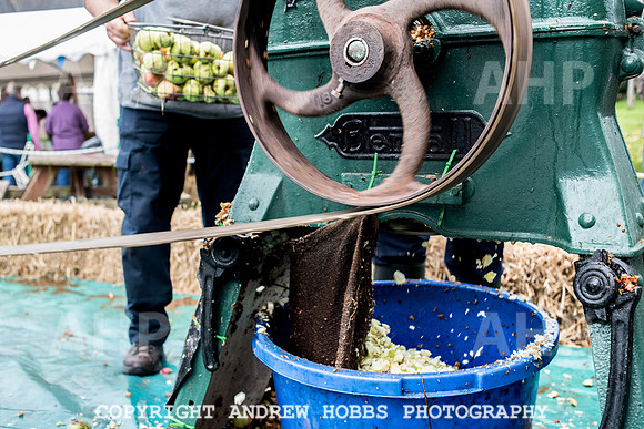Porlock Apple Day 2016-3791