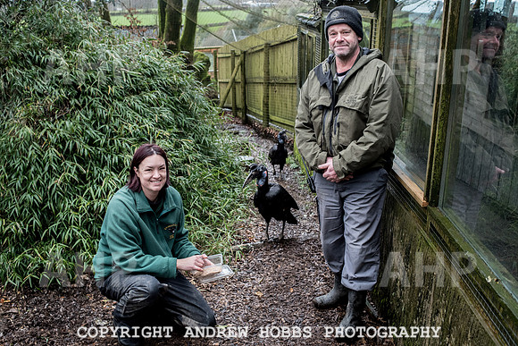 Exmoor Zoo 2017-7367
