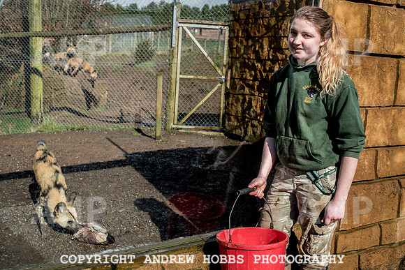 Exmoor Zoo 2017-7414