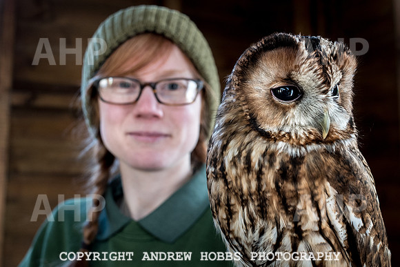 Exmoor Zoo 2017-7438