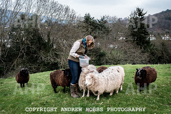 Handemade Exmoor 2017-7707