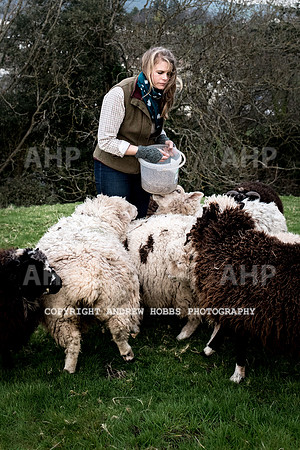 Handemade Exmoor 2017-7713