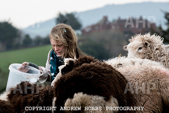 Handemade Exmoor 2017-7758