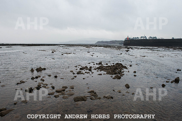 Stake-net Fishing Watchet 2014 002