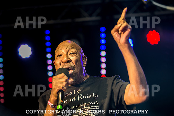 Watchet Festival 2016-5623