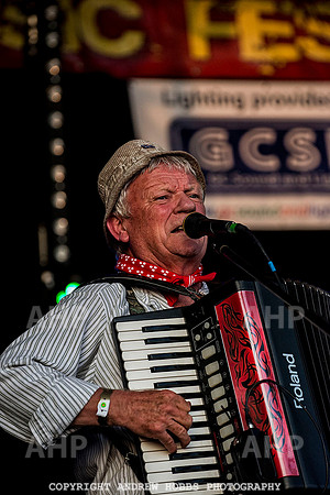 Watchet Music Festival_8406