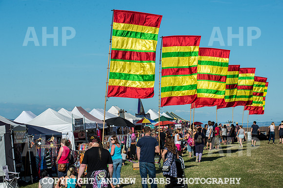 Watchet Festival 2016-5537