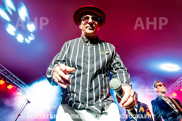 Dub Pistols - Boardmasters 2023-8463
