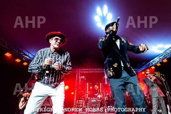 Dub Pistols - Boardmasters 2023-8494