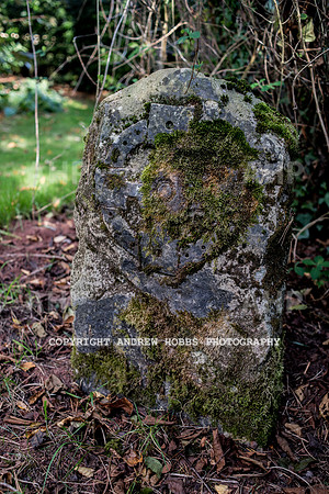 Vellacott Garden 2016-3565